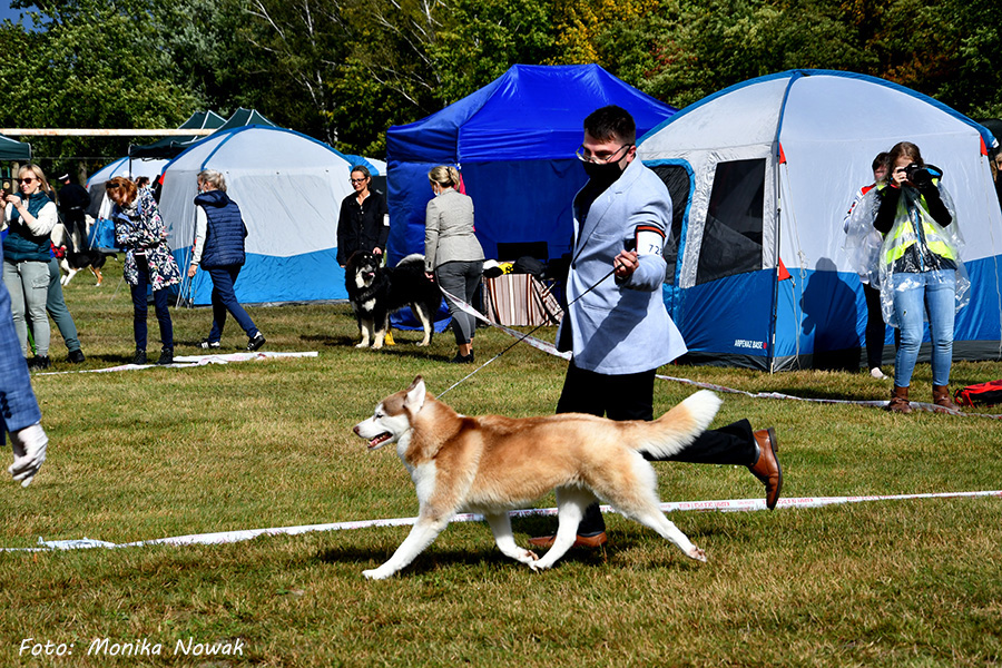 Arctic Friend&nbsp;PEARL LADY